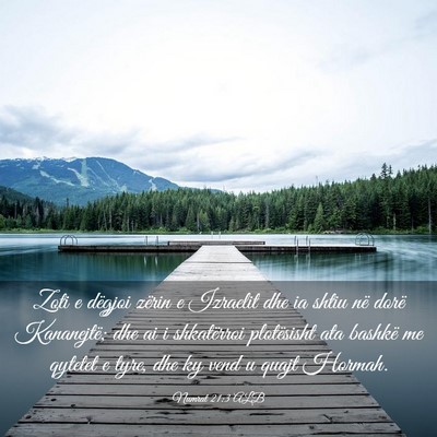 Picture 03 - Numrat 21:3 ALB - Zoti e dëgjoi zërin e Izraelit dhe ia shtiu në - Bible Verse Picture