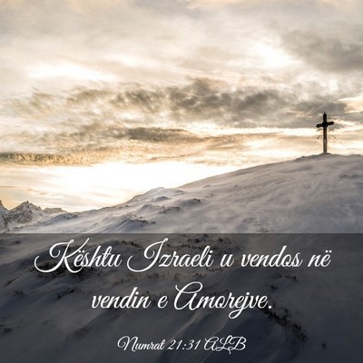 Picture 03 - Numrat 21:31 ALB - Kështu Izraeli u vendos në vendin e - Bible Verse Picture