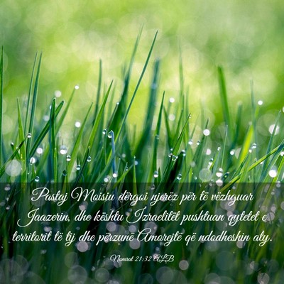 Picture 03 - Numrat 21:32 ALB - Pastaj Moisiu dërgoi njerëz për të vëzhguar - Bible Verse Picture