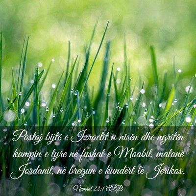Picture 03 - Numrat 22:1 ALB - Pastaj bijtë e Izraelit u nisën dhe ngritën - Bible Verse Picture