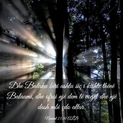 Picture 03 - Numrat 23:30 ALB - Dhe Balaku bëri ashtu siç i kishte thënë - Bible Verse Picture