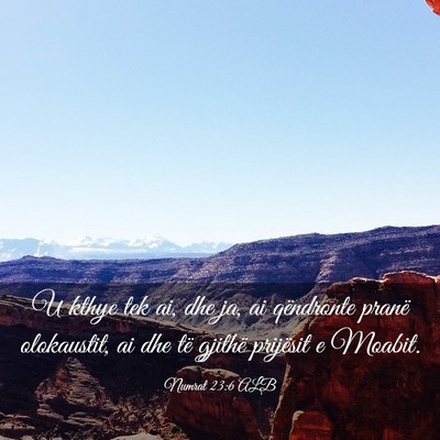 Picture 03 - Numrat 23:6 ALB - U kthye tek ai, dhe ja, ai qëndronte pranë - Bible Verse Picture
