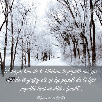 Picture 03 - Numrat 24:14 ALB - Dhe ja, tani do të kthehem te populli im; eja, - Bible Verse Picture