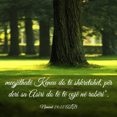 Picture 03 - Numrat 24:22 ALB - megjithatë Keneu do të shkretohet, për deri sa - Bible Verse Picture