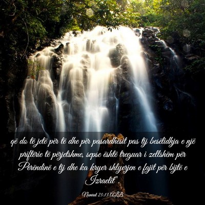 Picture 03 - Numrat 25:13 ALB - që do të jetë për të dhe për pasardhësit - Bible Verse Picture
