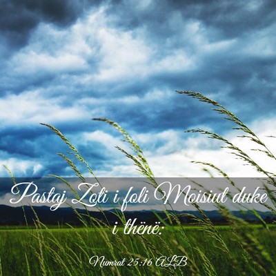 Picture 03 - Numrat 25:16 ALB - Pastaj Zoti i foli Moisiut duke i - Bible Verse Picture