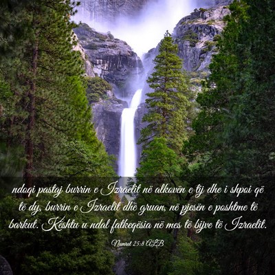 Picture 03 - Numrat 25:8 ALB - ndoqi pastaj burrin e Izraelit në alkovën e tij - Bible Verse Picture
