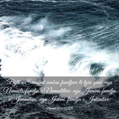 Picture 03 - Numrat 26:12 ALB - Bijtë e Simeonit simbas familjeve të tyre - Bible Verse Picture