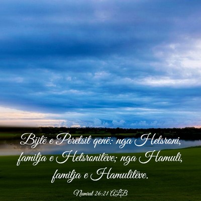 Picture 03 - Numrat 26:21 ALB - Bijtë e Peretsit qenë: nga Hetsroni, familja e - Bible Verse Picture
