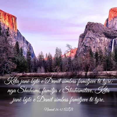 Picture 03 - Numrat 26:42 ALB - Këta janë bijtë e Danit simbas familjeve të - Bible Verse Picture