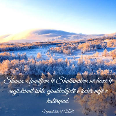 Picture 03 - Numrat 26:43 ALB - Shuma e familjeve të Shuhamitëve në bazë të - Bible Verse Picture