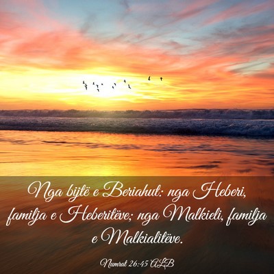 Picture 03 - Numrat 26:45 ALB - Nga bijtë e Beriahut: nga Heberi, familja e - Bible Verse Picture