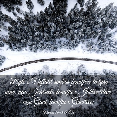 Picture 03 - Numrat 26:48 ALB - Bijtë e Neftalit simbas familjeve të tyre - Bible Verse Picture