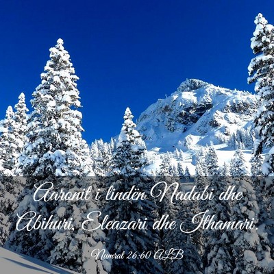 Picture 03 - Numrat 26:60 ALB - Aaronit i lindën Nadabi dhe Abihuri, Eleazari - Bible Verse Picture