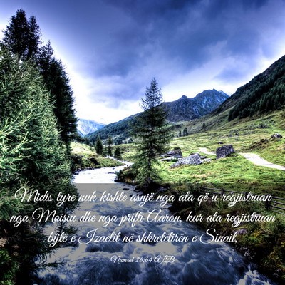 Picture 03 - Numrat 26:64 ALB - Midis tyre nuk kishte asnjë nga ata që u - Bible Verse Picture