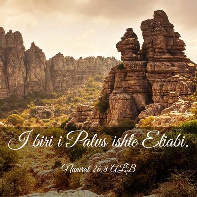 Picture 03 - Numrat 26:8 ALB - I biri i Palus ishte - Bible Verse Picture