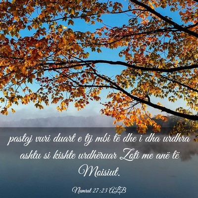 Picture 03 - Numrat 27:23 ALB - pastaj vuri duart e tij mbi të dhe i dha urdhra - Bible Verse Picture