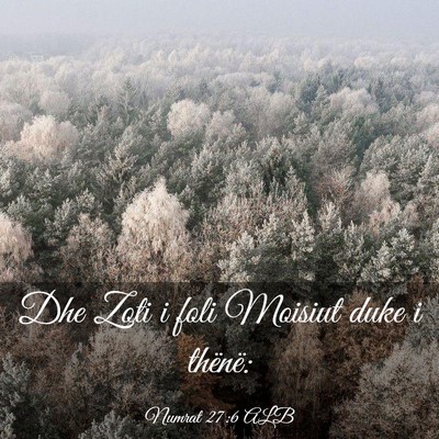 Picture 03 - Numrat 27:6 ALB - Dhe Zoti i foli Moisiut duke i - Bible Verse Picture