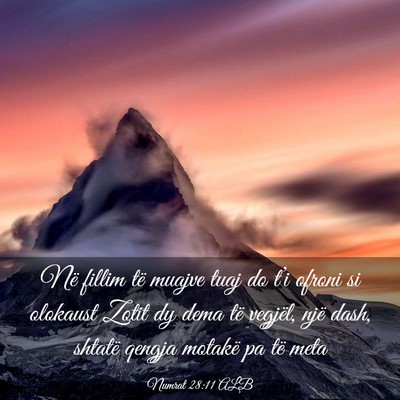 Picture 03 - Numrat 28:11 ALB - Në fillim të muajve tuaj do t’i ofroni si - Bible Verse Picture