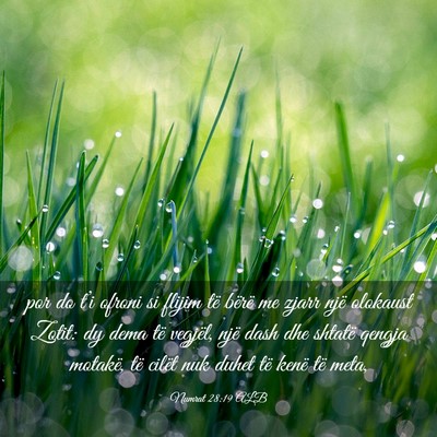 Picture 03 - Numrat 28:19 ALB - por do t’i ofroni si flijim të bërë me zjarr - Bible Verse Picture