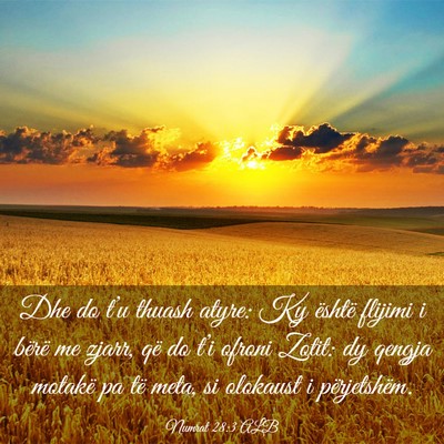 Picture 03 - Numrat 28:3 ALB - Dhe do t’u thuash atyre: Ky është flijimi i - Bible Verse Picture