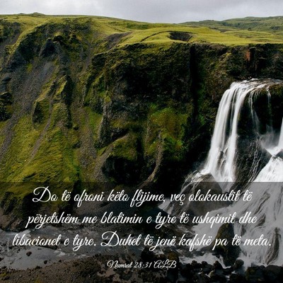 Picture 03 - Numrat 28:31 ALB - Do të ofroni këto flijime, veç olokaustit të - Bible Verse Picture