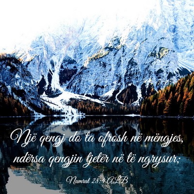Picture 03 - Numrat 28:4 ALB - Një qengj do ta ofrosh në mëngjes, ndërsa - Bible Verse Picture
