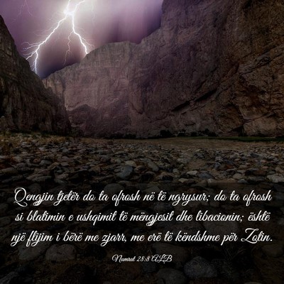 Picture 03 - Numrat 28:8 ALB - Qengjin tjetër do ta ofrosh në të ngrysur; do - Bible Verse Picture