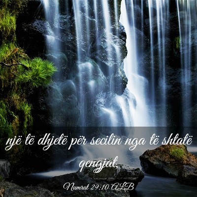 Picture 03 - Numrat 29:10 ALB - një të dhjetë për secilin nga të shtatë - Bible Verse Picture
