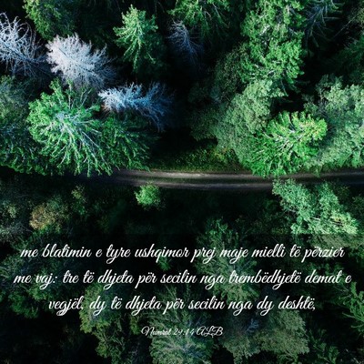 Picture 03 - Numrat 29:14 ALB - me blatimin e tyre ushqimor prej maje mielli të - Bible Verse Picture