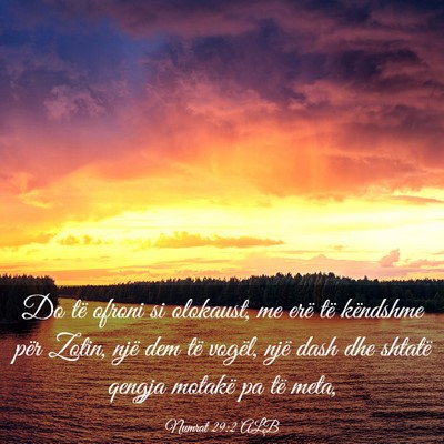 Picture 03 - Numrat 29:2 ALB - Do të ofroni si olokaust, me erë të këndshme - Bible Verse Picture