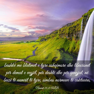 Picture 03 - Numrat 29:21 ALB - bashkë me blatimet e tyre ushqimore dhe - Bible Verse Picture