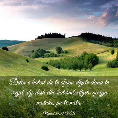 Picture 03 - Numrat 29:23 ALB - Ditën e katërt do të ofroni dhjetë dema të - Bible Verse Picture