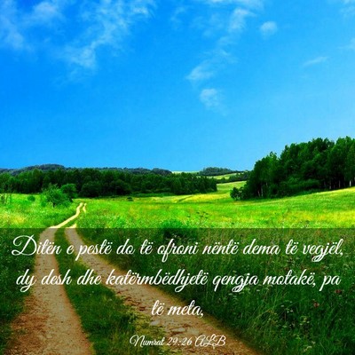 Picture 03 - Numrat 29:26 ALB - Ditën e pestë do të ofroni nëntë dema të - Bible Verse Picture