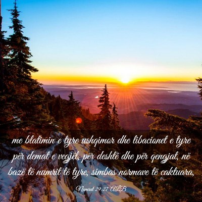 Picture 03 - Numrat 29:27 ALB - me blatimin e tyre ushqimor dhe libacionet e tyre - Bible Verse Picture