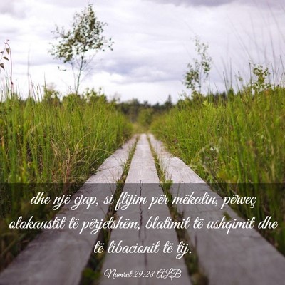 Picture 03 - Numrat 29:28 ALB - dhe një cjap, si flijim për mëkatin, përveç - Bible Verse Picture