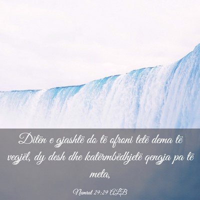 Picture 03 - Numrat 29:29 ALB - Ditën e gjashtë do të ofroni tetë dema të - Bible Verse Picture