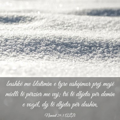Picture 03 - Numrat 29:3 ALB - bashkë me blatimin e tyre ushqimor prej majë - Bible Verse Picture