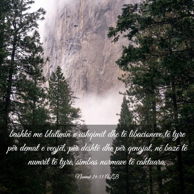 Picture 03 - Numrat 29:33 ALB - bashkë me blatimin e ushqimit dhe të - Bible Verse Picture