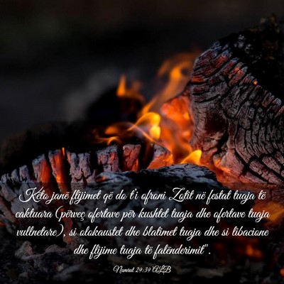 Picture 03 - Numrat 29:39 ALB - Këto janë flijimet që do t’i ofroni Zotit - Bible Verse Picture