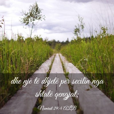 Picture 03 - Numrat 29:4 ALB - dhe një të dhjetë për secilin nga shtatë - Bible Verse Picture