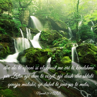 Picture 03 - Numrat 29:8 ALB - dhe do të ofroni si olokaust me erë të - Bible Verse Picture
