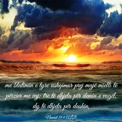 Picture 03 - Numrat 29:9 ALB - me blatimin e tyre ushqimor prej majë mielli të - Bible Verse Picture