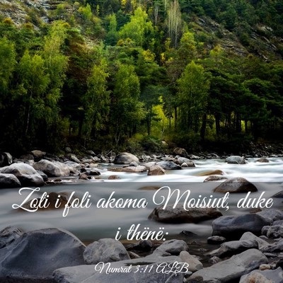 Picture 03 - Numrat 3:11 ALB - Zoti i foli akoma Moisiut, duke i - Bible Verse Picture