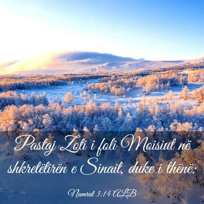 Picture 03 - Numrat 3:14 ALB - Pastaj Zoti i foli Moisiut në shkretëtirën e - Bible Verse Picture