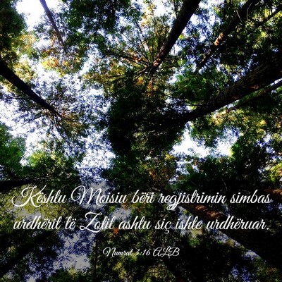 Picture 03 - Numrat 3:16 ALB - Kështu Moisiu bëri regjistrimin simbas - Bible Verse Picture