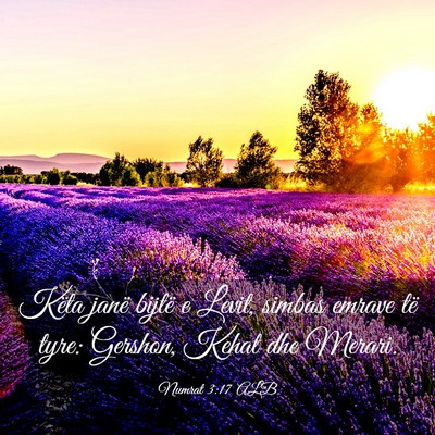 Picture 03 - Numrat 3:17 ALB - Këta janë bijtë e Levit, simbas emrave të - Bible Verse Picture