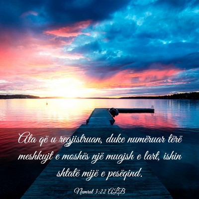 Picture 03 - Numrat 3:22 ALB - Ata që u regjistruan, duke numëruar tërë - Bible Verse Picture