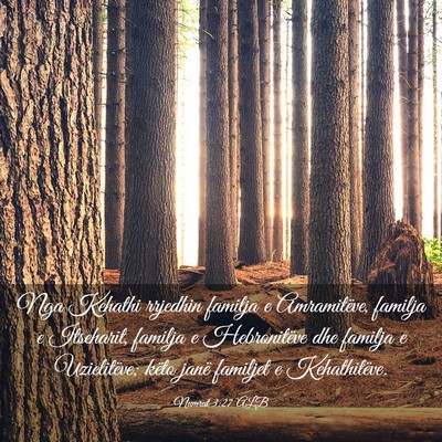 Picture 03 - Numrat 3:27 ALB - Nga Kehathi rrjedhin familja e Amramitëve, - Bible Verse Picture
