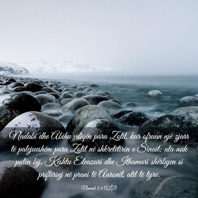 Picture 03 - Numrat 3:4 ALB - Nadabi dhe Abihu vdiqën para Zotit, kur ofruan - Bible Verse Picture